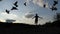 Young man approaches and drives away doves at sunset in slo-mo