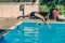 A young man with athletic figure dives into the water with a pike from the side of the pool