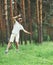 young man balancing his arms walk on a loose rope tied between two trees, male training slack rope walking, slacklining outdoors