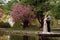 Young man with beard and bride in luxury long dress hugging near lake in park with blooming cherry or sakura blossoms on