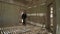 Young man in black in abandoned building walking in room. Ghost town Kolmanskop.