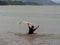 Young man cast net fishing inside the water