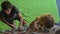 A young man climbing instructor teaching little boy how to climb the wall in a bouldering climbing gym