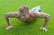 Young man doing push-ups on green grass