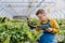 Young man with Down syndrome working in garden centre, holidng clipboard and checking plants.