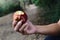 Young man eating a red apple outdoors