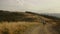 Young man exercising in natural landscape. Athletic guy jogging on dirty road