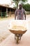 Young man farmer with barrow during working at farm