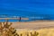 Young man with french bulldog walking on the beach of the Baltic sea in Darlowko, Poland