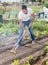 Young man gardener with rake working at land in garden