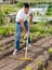 Young man gardener with rake working at land in garden