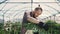 Young man gardener working in a large greenhouse.