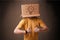 Young man gesturing with a cardboard box on his head with light