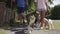 Young man and girl walking five dogs along suburban street