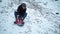 Young man goes sledding in winter. Steamy descent from a snow-covered mountain.