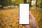 Young man hand holding smartphone with white screen outdoors against autumn sidewalk