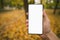 Young man hand holding smartphone with white screen outdoors against autumn sidewalk