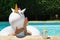 Young man hands touching a unicorn inflatable ring in a swimming pool