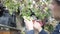 young man in a hat picking green grapes in a vineyard