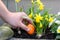 Young man hiding a colorful orange Easter egg