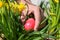 Young man hiding a colorful red Easter egg