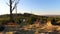 Young man hiker walk in nice landscape at sunrise from front