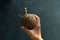 young man holding coconut with a straw and drinking, close up