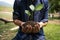 The young man holding the seeding tree to plant