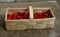 A young man holds in a wicker basket fresh strawberries he has picked. the son chooses the best most attractive fruits. Growing fr