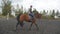 Young man horseback riding outdoor. Male jockey at horse walking at manege at farm on summer day. Beautiful nature at