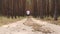 Young man jogging in the woods. Narrow focus.