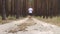 Young man jogging in the woods. Narrow focus.