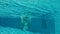 Young man jumping in blue clear pool