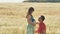 The young man kisses his wife in the belly, kneeling in warm summer in a wheat field.