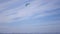 The young man launched Kitesurf in the sky, catching the wind and learn to manage it, 4k