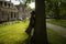 Young man leaning on his back in a tree, resting. Park in residential area with typical dutch houses.