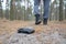 Young man loses his purse with euro money bills on Russian autumn fir wood path. Carelessness and losing wallet concept
