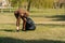 A young man in a mask is engaged in cleaning garbage in a park. pandemic environment concept