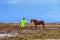 Young man meets horse