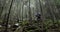 A young man in a mountain hiking with a backpack among the trees