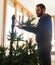 Young man mounting artificial Christmas tree