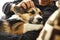 Young man owner petting the dog, resting with his pet at home on couch, spending time together, cute Welsh Corgi puppy.