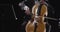 Young man playing double bass against black background