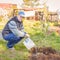 A young man pours a freshly planted apple seedling from a bucket.