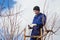 Young man pruning apricot brunches using ladder