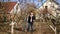 A young man is pruning trees in the garden near the house on a spring day. The concept of spring tree pruning and garden