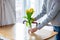 Young man put in yellow tulips in glass at kitchen