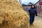 A young man puts the hay on a haystack