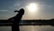 Young man raises hands happily on a lake bank at sunset in slow motion