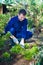 Young man raking soil near salad